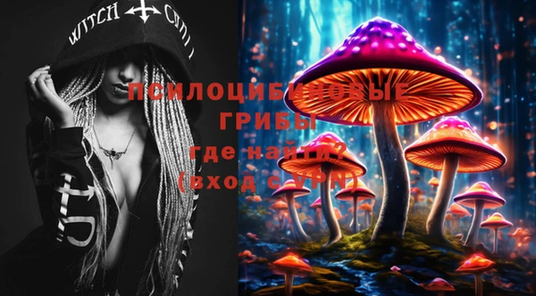 хмурый Покачи