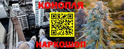 дживик Кингисепп