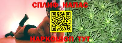 хмурый Кинель