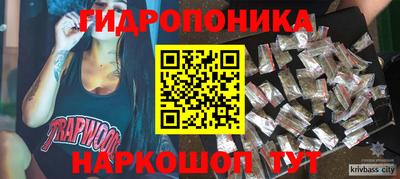 дживик Кингисепп