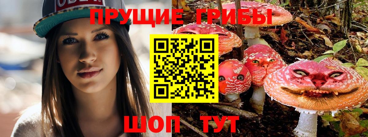 Бошки Шишки  Вход с VPN  Мефедрон   ГАШ  Киреевск  ГАШИШ  Кокаин 