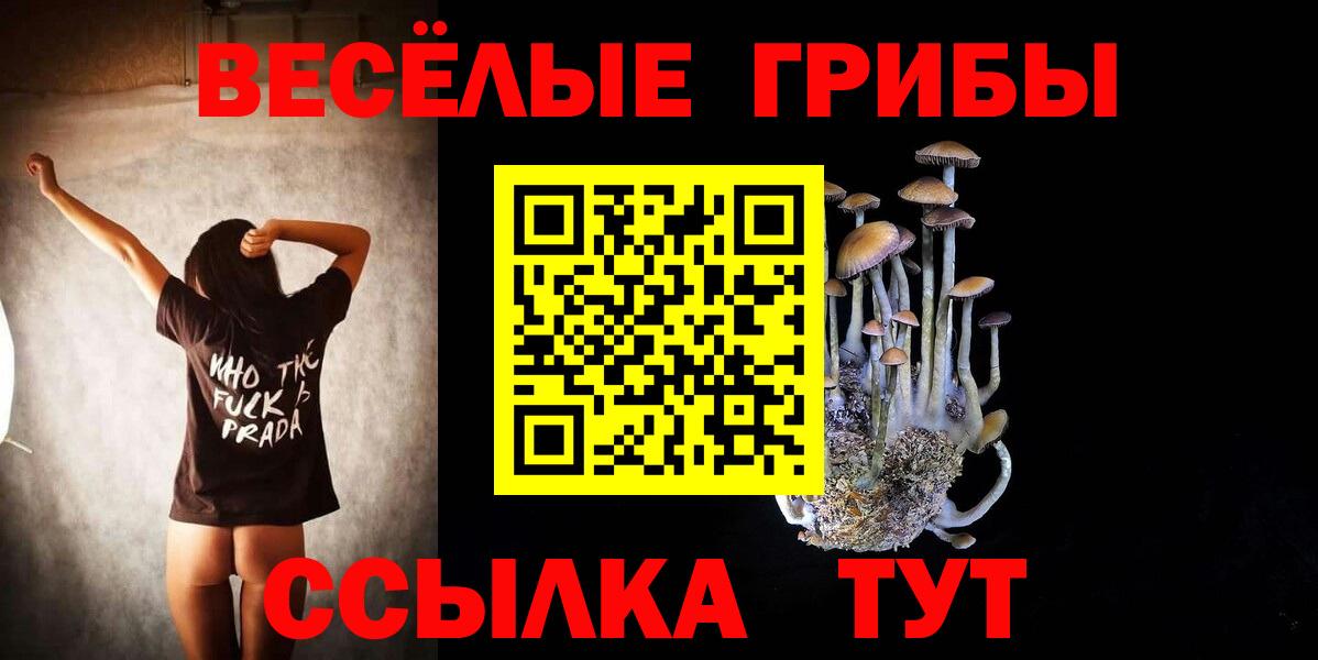 Псилоцибиновые грибы Magic Shrooms  купить наркоту  Киреевск  Вход с VPN  Галлюциногенные грибы Magic Shrooms 